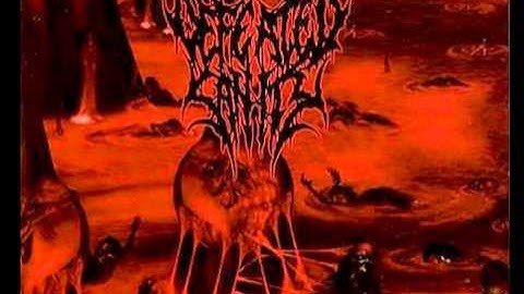 Defeated Sanity - Expectoration of Fear