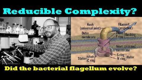 Reducible Complexity?