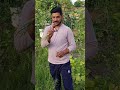 वर्मीकम्पोस्ट का कमाल: बिना यूरिया-डीएपी के उगी इतनी शानदार प्याज! 🧅🌱#Vermicompost #OrganicFarming