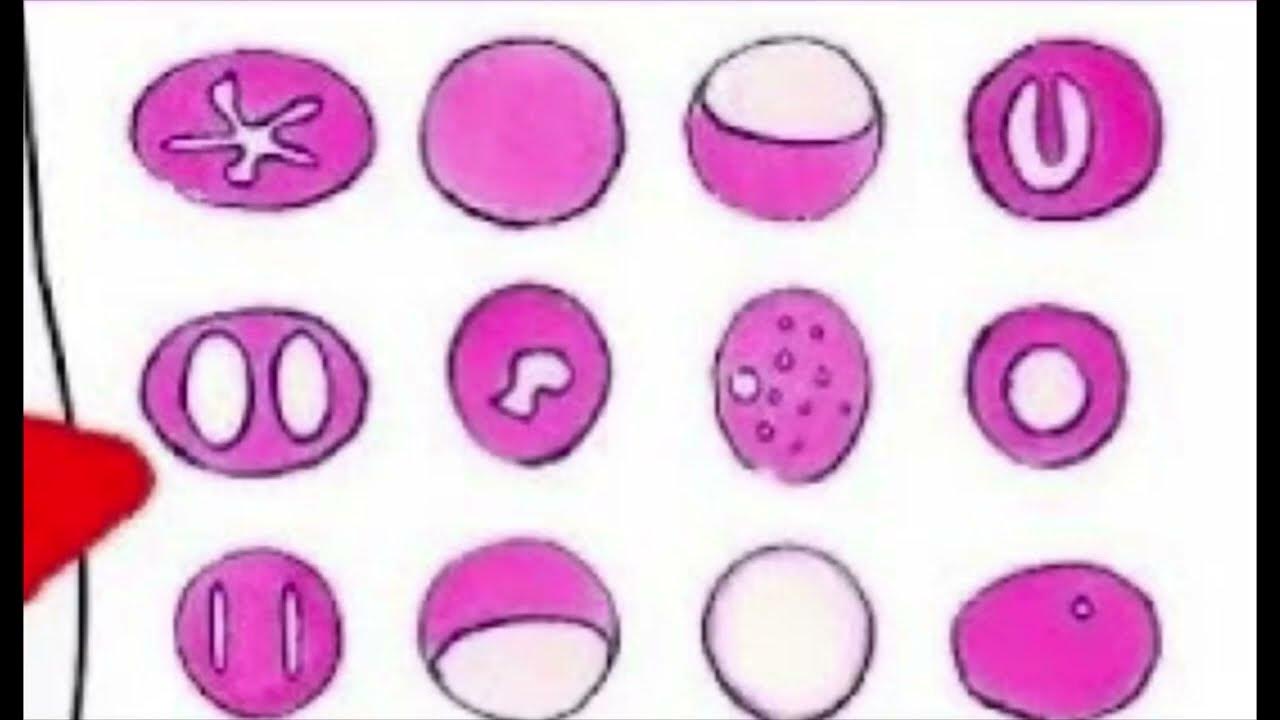 U yigitga mehr bilan berdi Tanya Tishinskayaning porno fotosuratlari onlayn