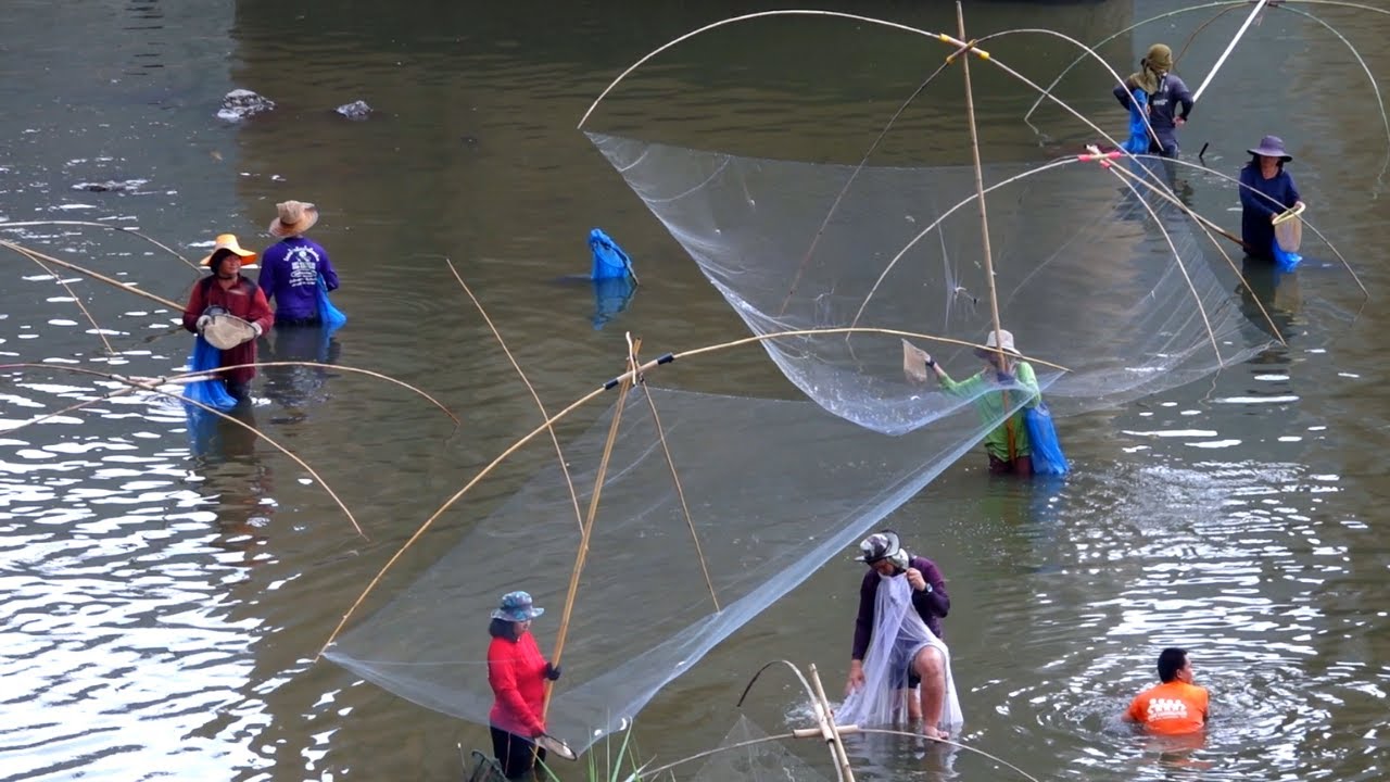 ยกยอประตูระบายน้ำเขื่อนลำปาวในรูปแบบเอาปลาข่อน