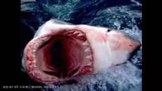 d22c40188b99b9226e9168ff7b72f8645016818 180p 46700 144p