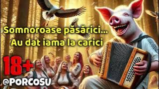 PORCOSU - Somnoroase păsărici (parodie, umor și caterinca)