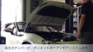 GReddy Engine Hood Lifter