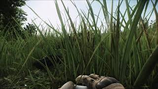 My Tarkov Experience