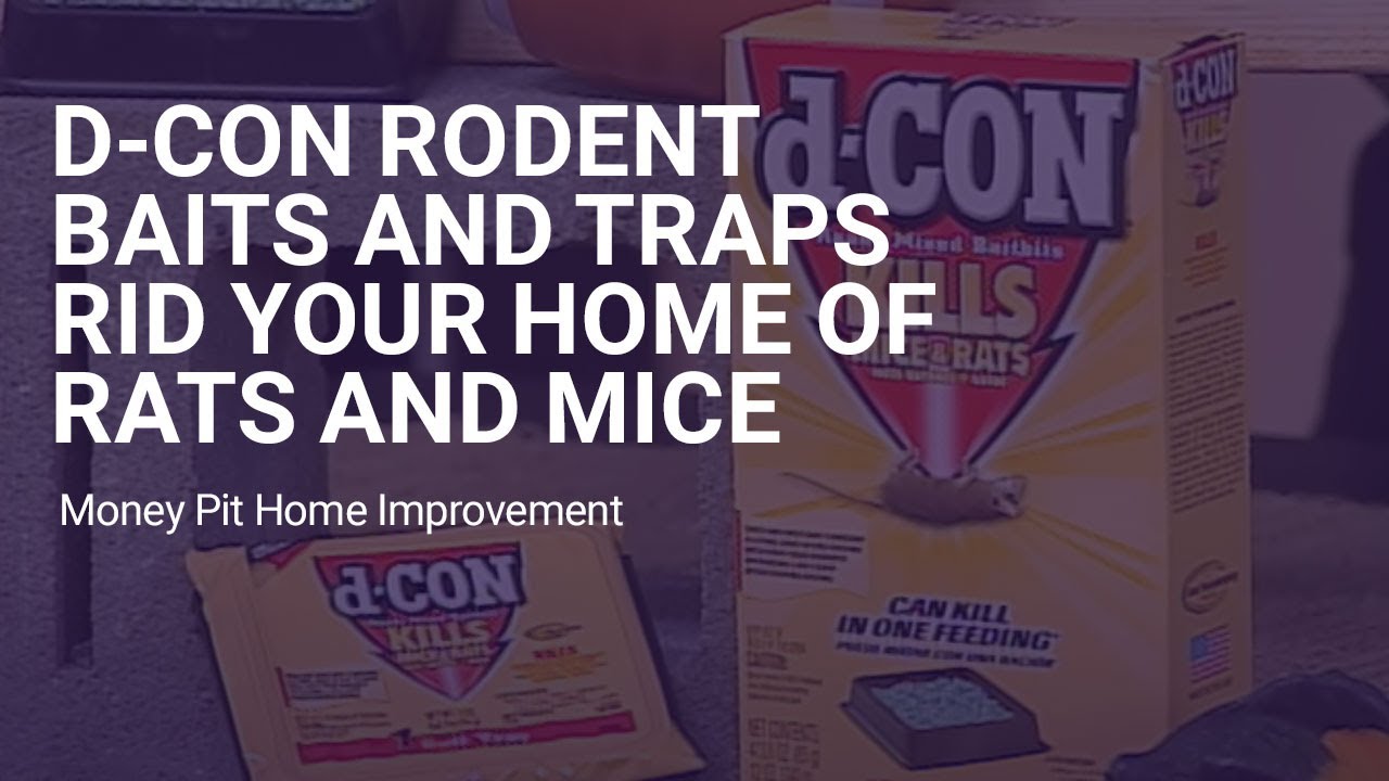 d-CON Rodent Baits and Traps Rid Your Home of Rats and Mice 