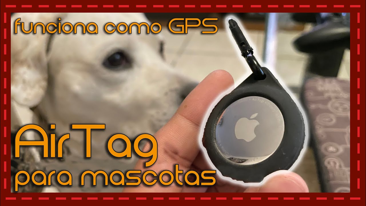 Apple no quiere que uses el AirTag para localizar tu perro