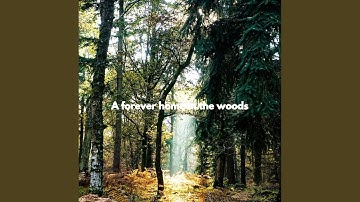 Dashing Ambience for Forgetting Summer