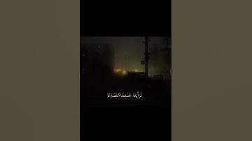 تلاوة بصوت الشيخ رعد الكردي #أطمئن #المصحف