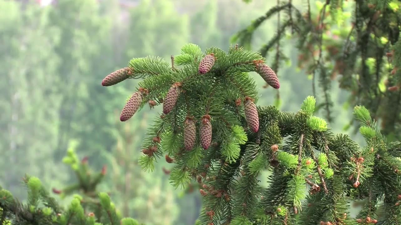 Na cestě po Broumovsku