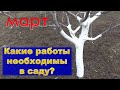 Какие работы в саду необходимы в марте?