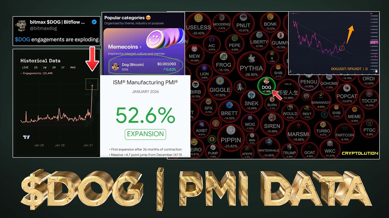 $DOG Amazing Weekend plus Bullish PMI DATA 🤩