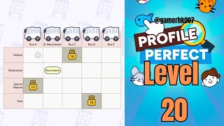 Profile Perfect level 20 Walkthrough Solution 