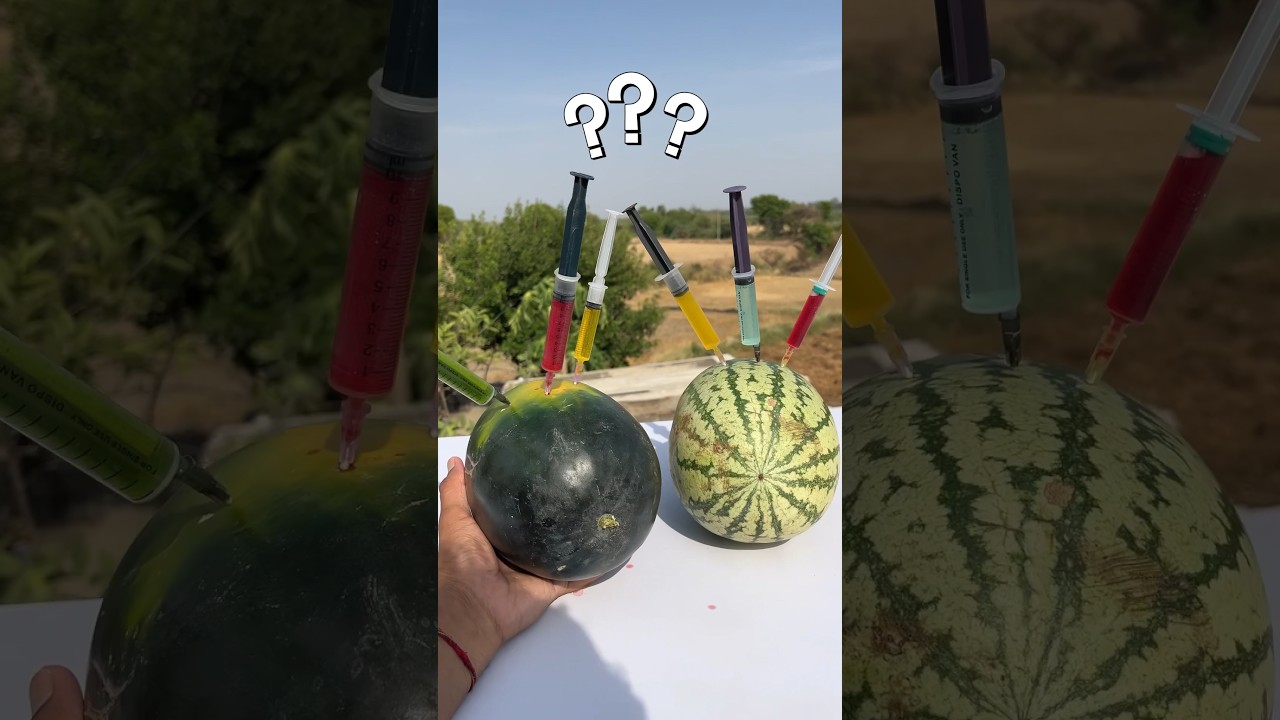 Watermelon Breeds Exposed 