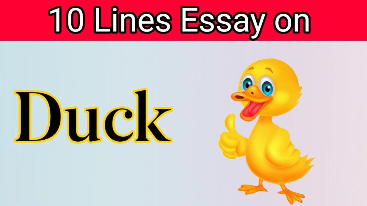 Ten lines Essay on Duck in English | Short Essay on Duck | By Ali