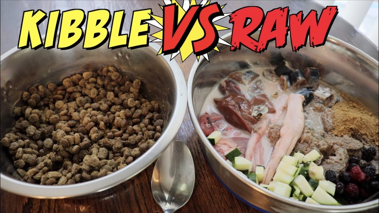 kibble raw