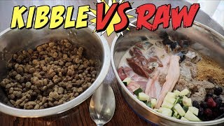 Dont forget to subscribe and follow the whole pack on instagram!
https://www.instagram.com/the_dawghouse_/ raw vs kibble, who eats
faster? just a fun little ...