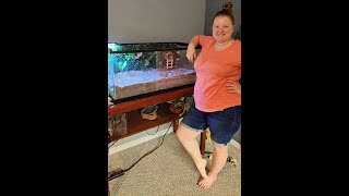 Diy Background for Hermit Crab Enclosure