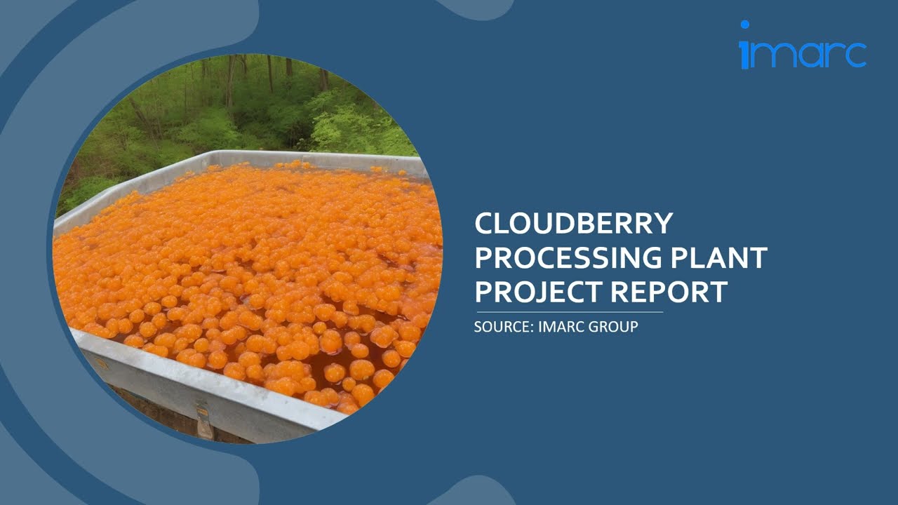 Cloudberry Processing Plant Project Report 2024