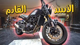 موتوسيكل هينافس الياباني ولكن سعره هز مصر كلها - Benelli leoncino 500 | بتاع موتوسيكلات