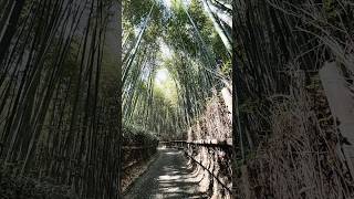 Journey Poem Kyoto Japan The Day When Forgotten Memories Return