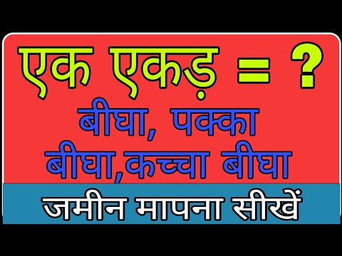 वीडियो: क्या प्लेडिस बीघिट में शामिल हुए?