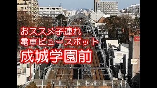 【子連れ電車ビュースポット】小田急線成城学園前 成城コルティ