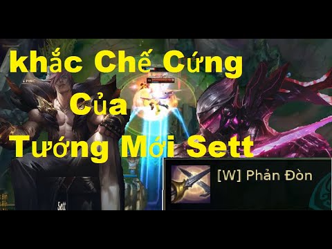 Video Fiora Vị Tướng Khắc Chế Cứng Của Tướng Mới Sett /Game... - youtube