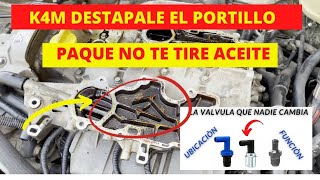 Limpieza de reciclador de gases DESCANTADOR Renault Clio (platina)