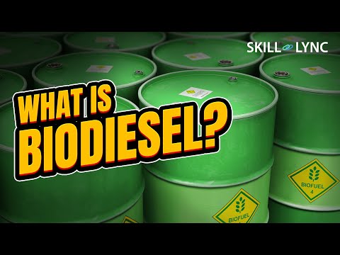 Video: Wat is die struktuur van biodiesel?