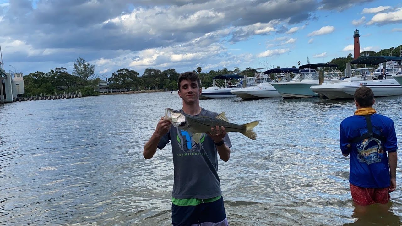 Jupiter Florida Snook Fishing - YouTube