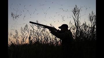 Duck Hunting in Chitral