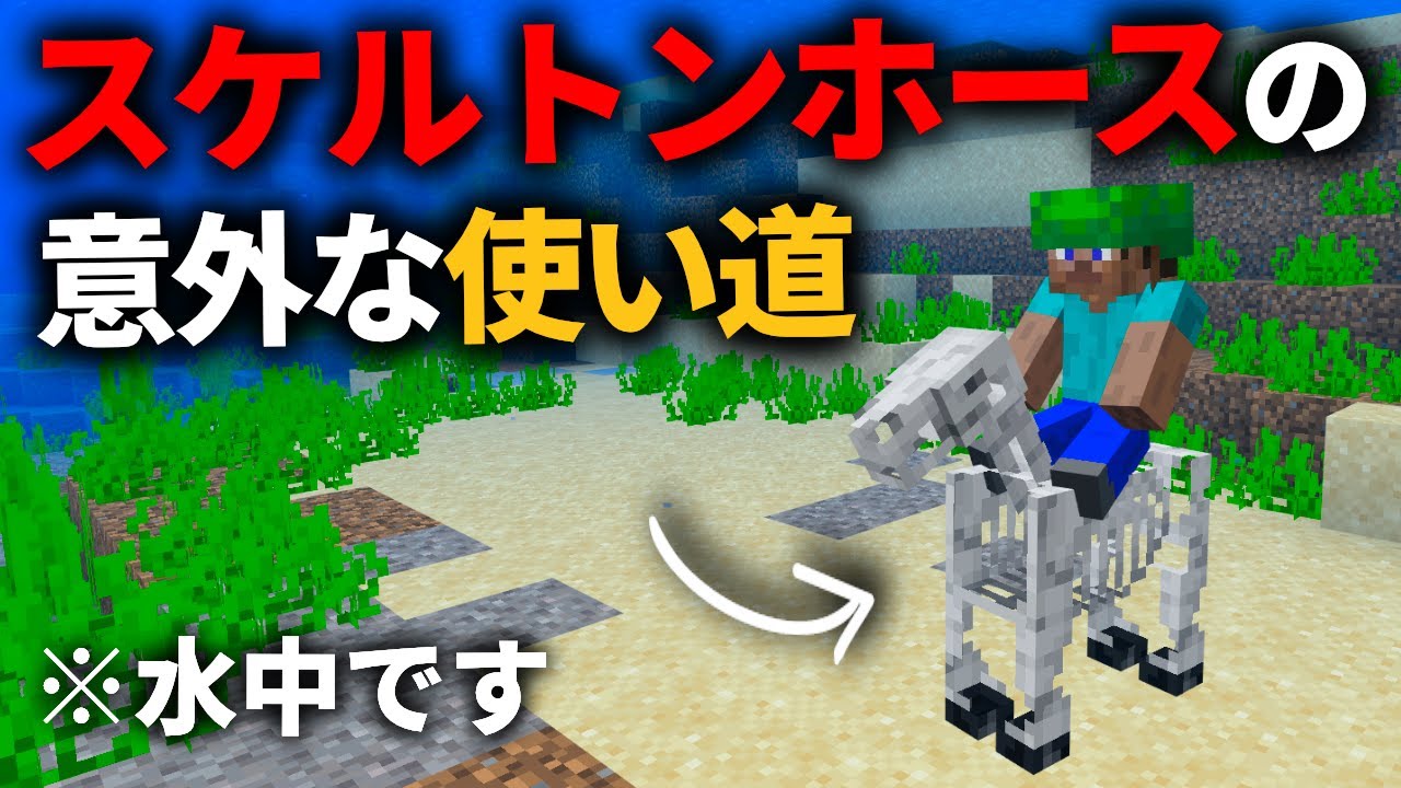 マイクラ統合版 ここも走れる スケルトンホースの意外な使い道 Pe Ps4 Switch Xbox Win10 Ver1 19 Youtube マイクラ統合版 ここも走れる スケルトンホースの意外な使い道 Pe Ps4 Switch Xbox Win10 Ver1 19 Youtube