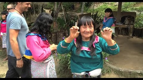 Peru, Amazon, Ayahuasca, Temple of the Way of Light Video