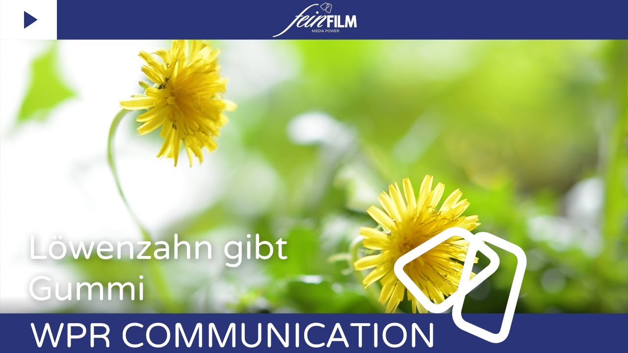 WPR Löwenzahn