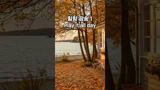 힐링 팝송 1 #감성팝송 #softpop  #감성브금 #팝송 #잔잔한음악 #힐링 #수면 #자연 #치유 #sleep #relax #relaxing #shorts