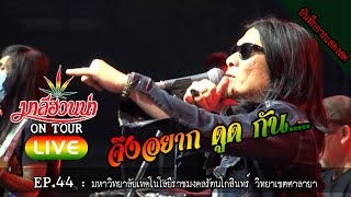 มาลีฮวนน่า LIVE EP.44 : มหาวิทยาลัยเทคโนโลยีราชมงคลรัตนโกสินทร์ วิทยาเขตศาลายา #0817972636 ภูมินทร์