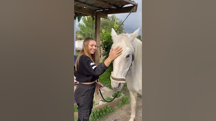 Mein Pferd hat Angst vor dem Sattel 🥺 #shorts #916shorts
