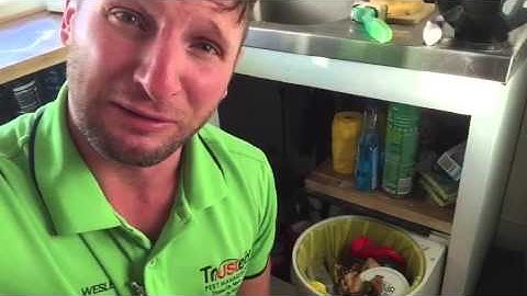 Bloody Maggots ! - Bin Management -