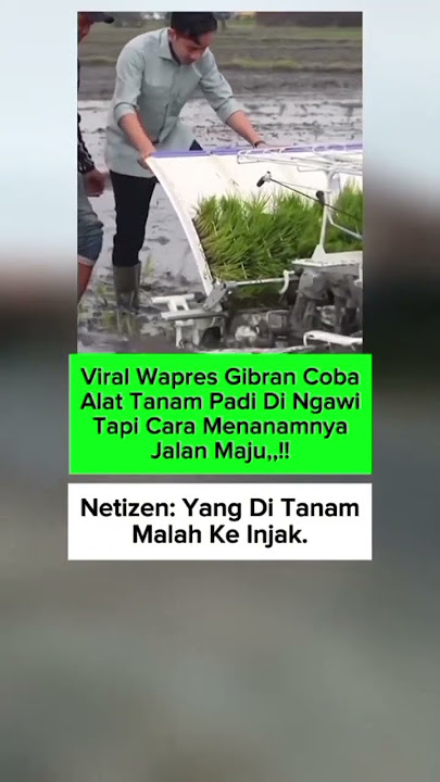 viral wapres Gibran turun langsung ke sawah#shorts