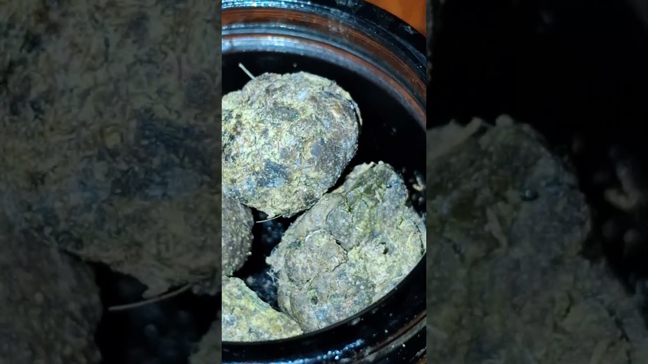 Scissor hashScissor hash a.k.a. finger hash from harvest 