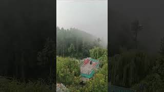 Nature at its best ?? Apple farms in between mountains covered with clouds  Fagu, Shimla ytshorts