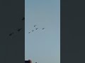 hum albele sholo se khele #indianairforce