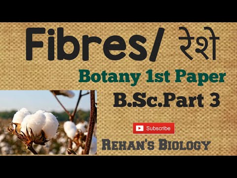 #Fibre yielding Plants #रेशा प्रदान करने वाले पौधे