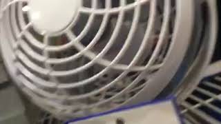Portable fans at Lowe’s