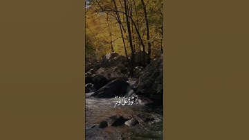 الله نور السموات والارض❤سورة النور❤ #قرآن