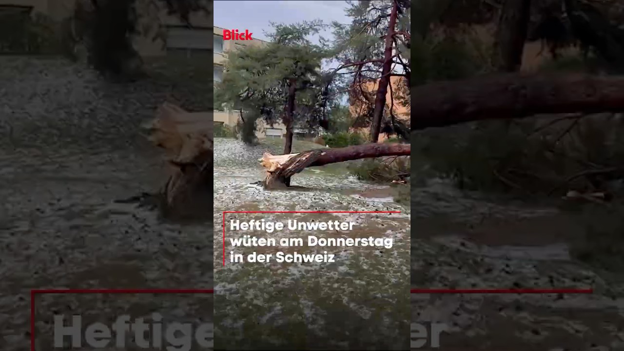 Heftige Unwetter wüten in der Schweiz: Bäume knicken um! ⛈️🌲