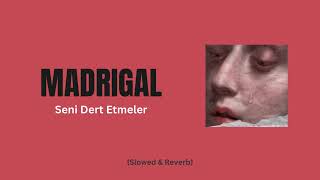 Madrigal - Seni Dert Etmeler (Slowed + Reverb) Resimi