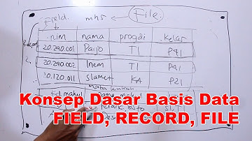 JAM KULIAH | Mengenal Field, Record, File dalam Basis Data