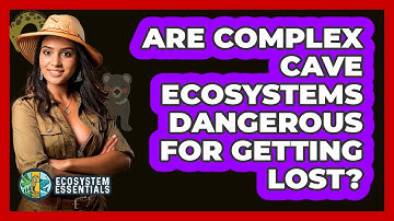 Are Complex Cave Ecosystems Dangerous For Getting Lost? - Ecosystem Essentials